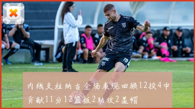 内线支柱纳吉全场表现回顾12投4中贡献11分12篮板2助攻2盖帽