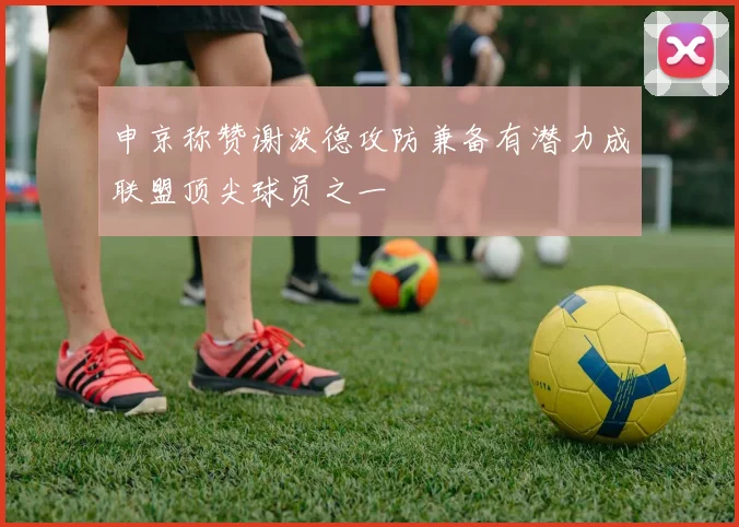 申京称赞谢泼德攻防兼备有潜力成联盟顶尖球员之一
